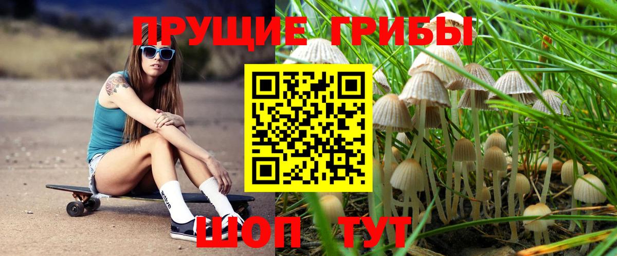 Фролово  Галлюциногенные грибы мицелий  Вход с VPN 